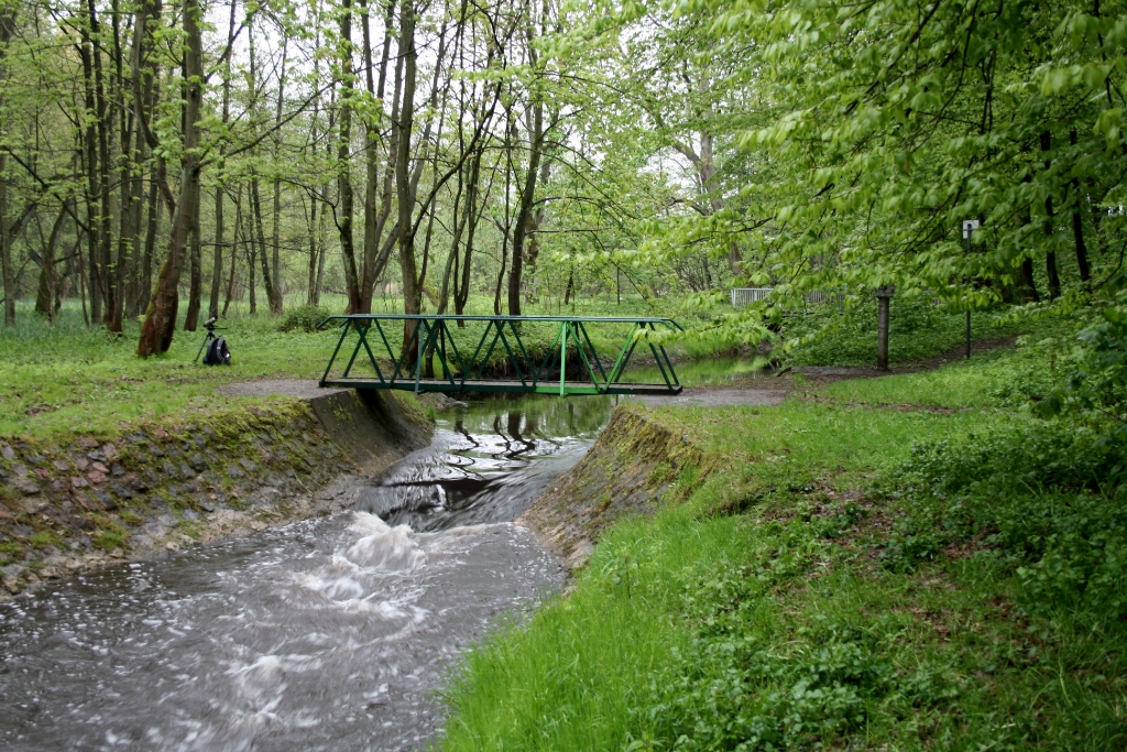 VWG vogelreis Oost Duitsland mei 2010 286